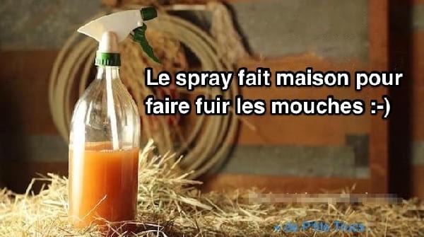 spray fait maison contre mouches