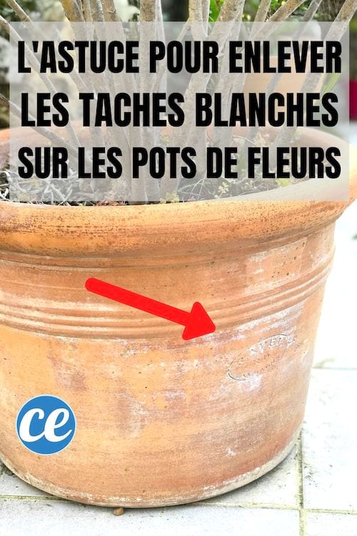 un pot de fleurs en terre cuite avec des taches blanches