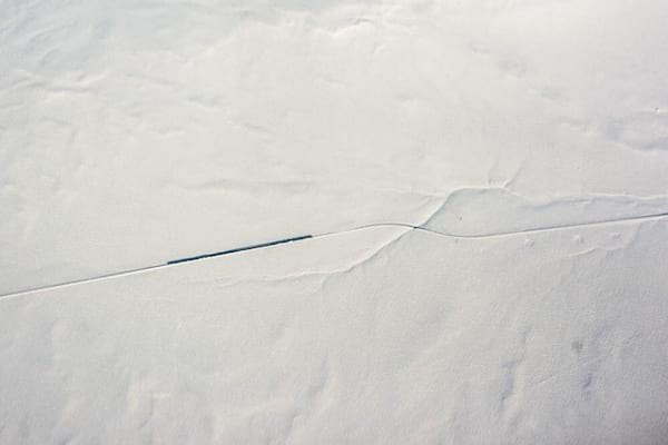 Train au milieu de la neige 