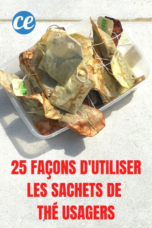 Un récipient avec des sachets de thé usagers qui peuvent être recyclés
