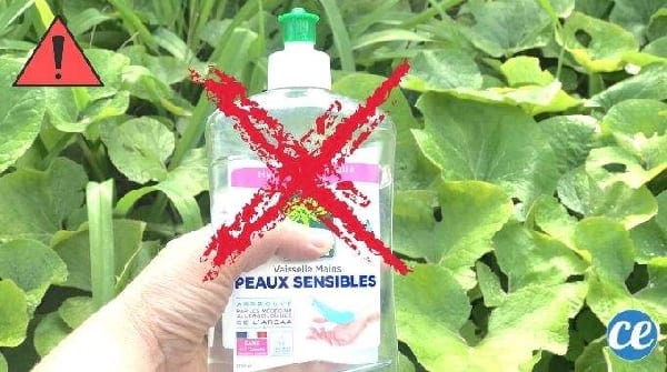 6 Erreurs Que Tout le Monde Fait Avec le LIQUIDE VAISSELLE