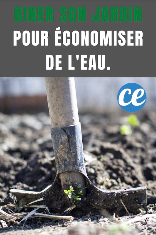Biner son jardin pour économiser l'eau : Biner son Jardin pour Économiser de l'Eau.
