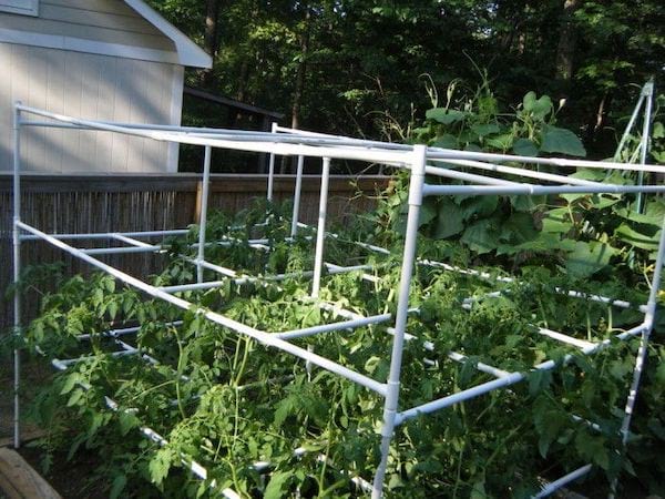 Cages à tomates en PVC