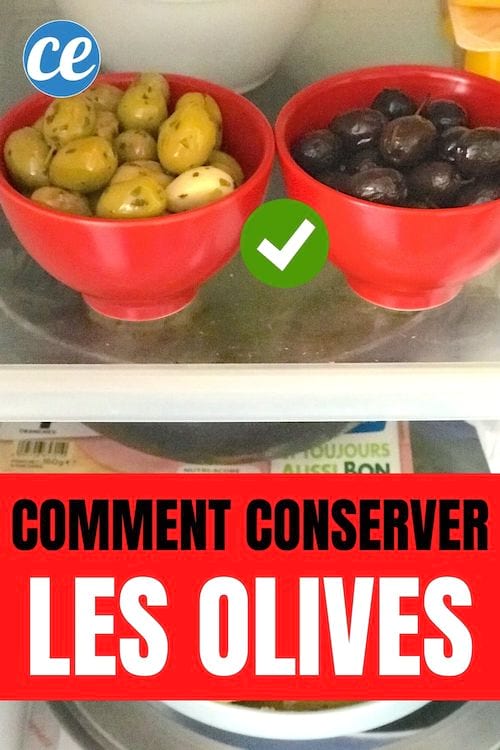 Voici Comment Conserver les Olives Fraîches Pendant Des Mois.