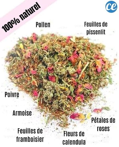 Boostez le système immunitaire de vos poules naturellement