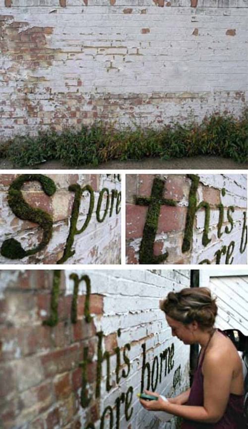 Grass writing on exterior wall