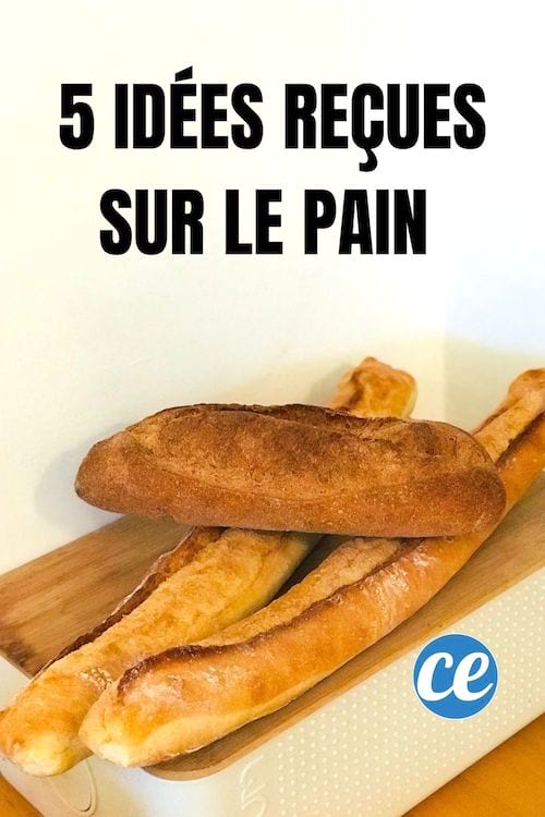 des baguettes de pain et du pain complet