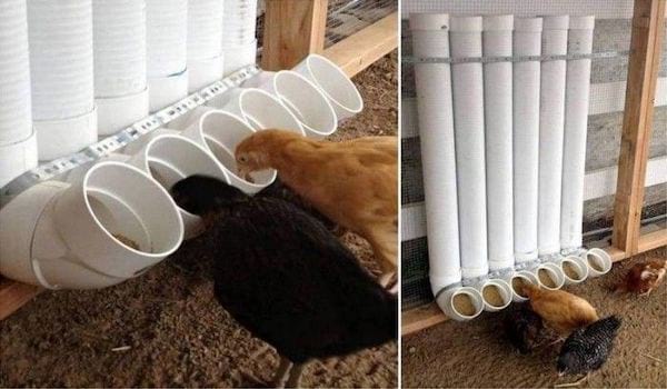 Plusieurs mangeoire à poulets en PVC