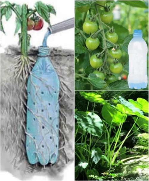 Mangeoire avec une ancienne bouteille de soda