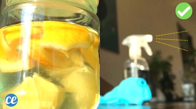 Un bocal avec des écorces de citron du vinaigre blanc pour nettoyer et désinfecter toute la maison