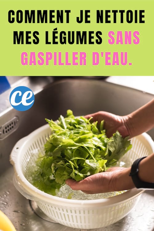 Personne nettoyant ça salade : Comment Je Nettoie mes Légumes Sans Gaspiller d'Eau.