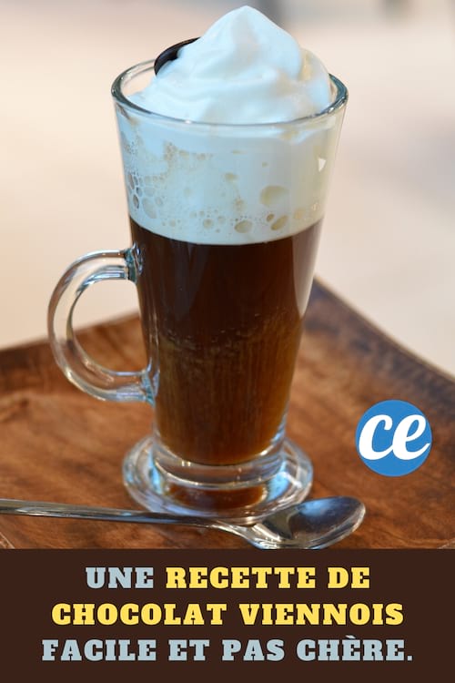 Recette d'un chocolat viennois : Une recette de Chocolat viennois facile et pas chère.