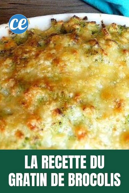 La recette pas chère du gratin de brocolis gratiné