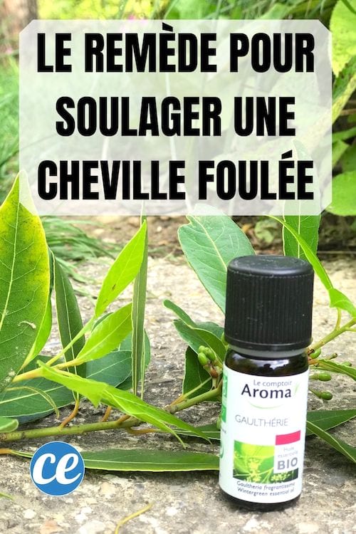 Du laurier et de l'huile essentielle de gaulthérie pour soulager une foulure à la cheville