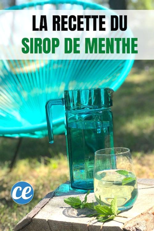 Un verre de menthe à l'eau fait maison