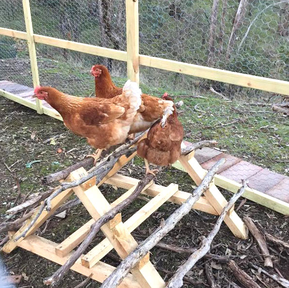 Perchoir à Poules En Bois – Structure Triangulaire Stable – 35 X 26 Cm – Portable, Pour Poulailler, Jardin, Grands Oiseaux