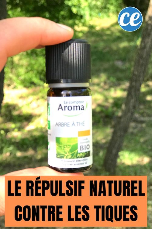 Un Répulsif Naturel Contre Les Tiques Qui Marche Vraiment