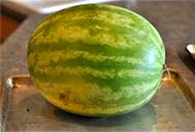 Une belle pastèque bien mûre sur une plaque de pâtisserie.