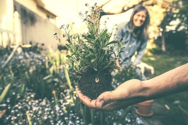 Une main dans un jardin qui va transplanter une plante, avec une femme en fond.