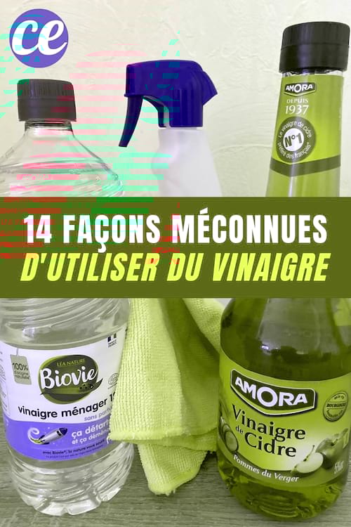 14 Façons d'Utiliser du Vinaigre Dont Vous N'avez Jamais Entendu Parler.
