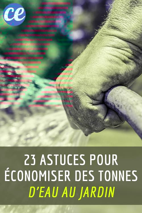 23 Astuces de Jardiniers Pour Économiser des Tonnes d'Eau Au Jardin.