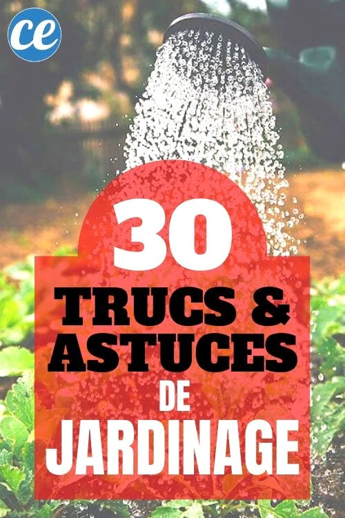 30 trucs & astuces pour faciliter le jardinage.