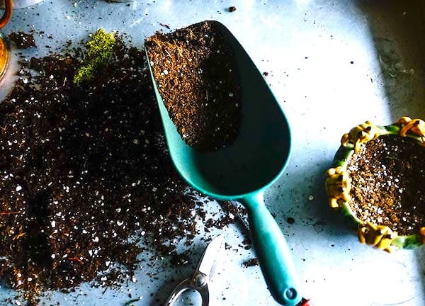 Une petite pelle de jardin, de la terre, de l'engrais et un pot de fleurs.