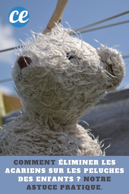 Éliminer les acariens sur une peluche : Comment éliminer les acariens sur les peluches des enfants ? Notre astuce pratique.
