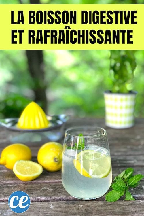 Une boisson rafraichissante au jus de citron avec de la menthe fraiche pour mieux digérer