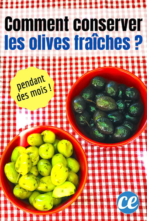 Voici Comment Conserver Les Olives Fraiches Pendant Des Mois