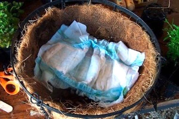 couche culotte enfant dans pot de fleur