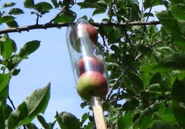 cueille fruits DIY avec bouteille fruit