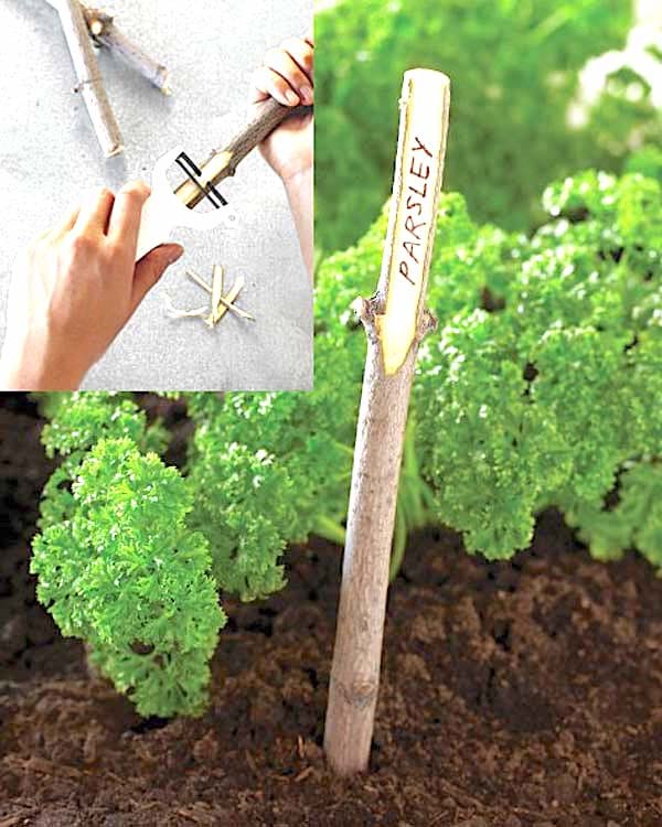 Une branche d'arbre coupée avec le nom pour faire l'étiquette de potager