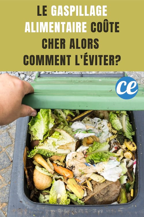 Gaspillage alimentaire : Le gaspillage alimentaire coûte cher alors comment l'éviter?