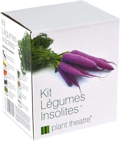 Kit pour faire pousser légumes à la maison