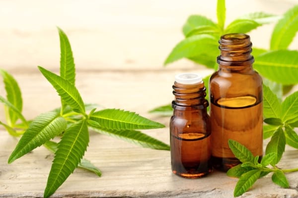 cataplasme avec huile de verveine et vinaigre de vin