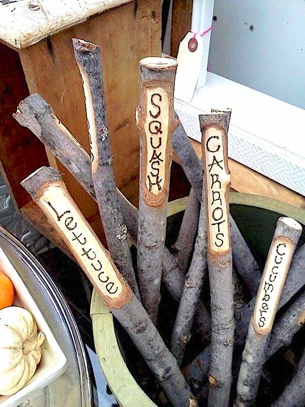 Des branches d'arbre coupées en étiquette de potager