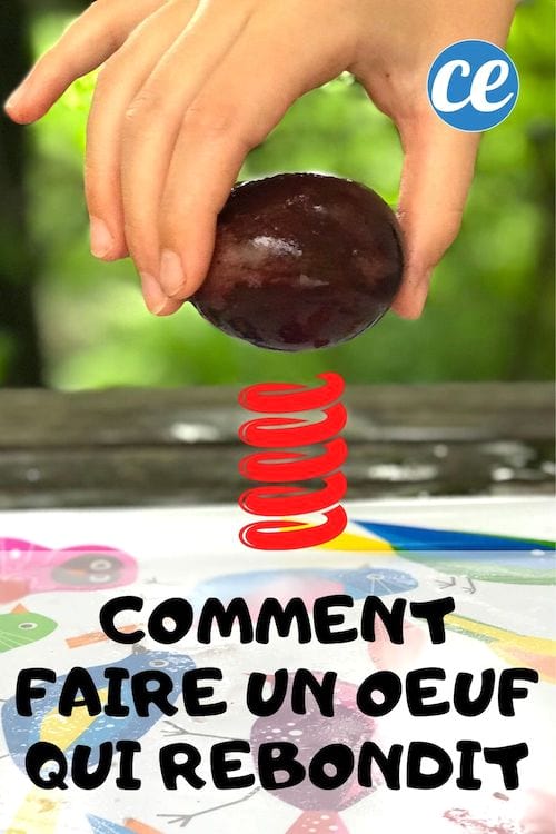 Le tuto pour faire un oeuf qui rebondit avec les enfants