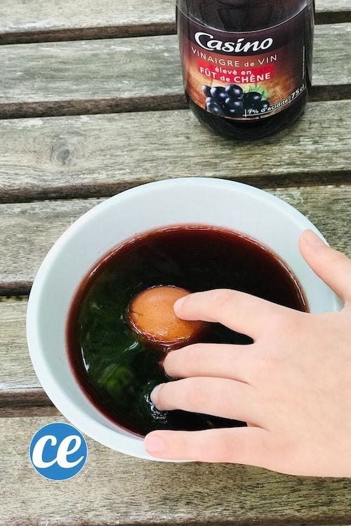 Un oeuf dans un bol de vinaigre de vin rouge