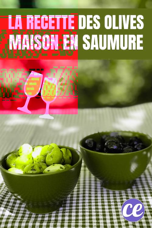 Voici Comment Conserver les Olives Fraîches Pendant Des Mois.