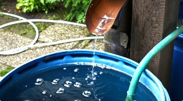 récupérer eau gouttière dans un tonneau