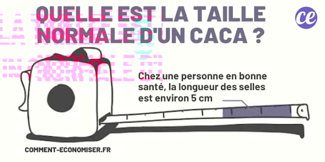 Quelle est la taille normale d'un caca ? 5 cm