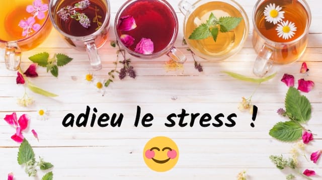 5 Tisanes Miracles Pour Dire Adieu au Stress Et à l'Anxiété.
