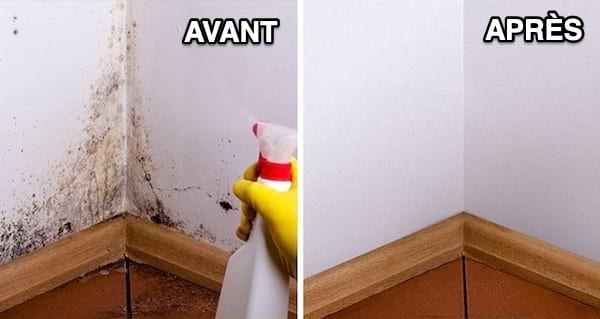 Utilisez du vinaigre blanc pour enlever la moisissure sur le mur
