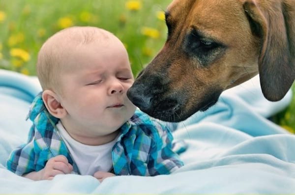 Tuer les bactéries sur les vêtements de bébé avec du vinaigre blanc