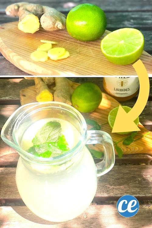 Envie de Maigrir ? Essayez Cette Boisson Détox au Citron Envie de Maigrir ? Essayez Cette Boisson Détox au Citron