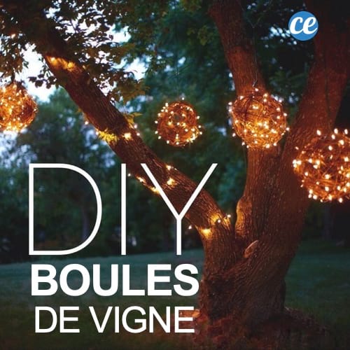 Des boules de vignes faites maison accrochées dans les arbres