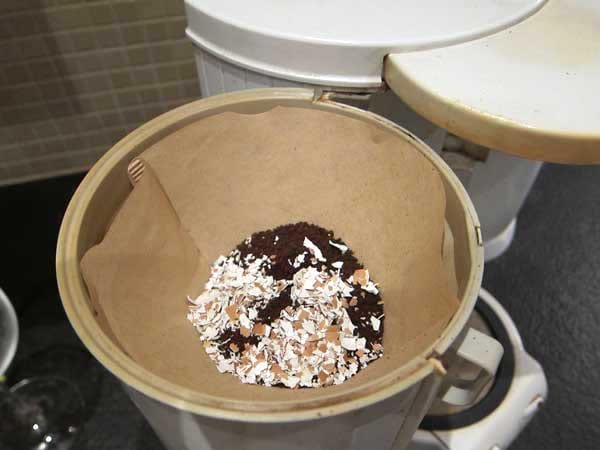 morceaux de coquille d'oeuf dans un filtre à café avec du café