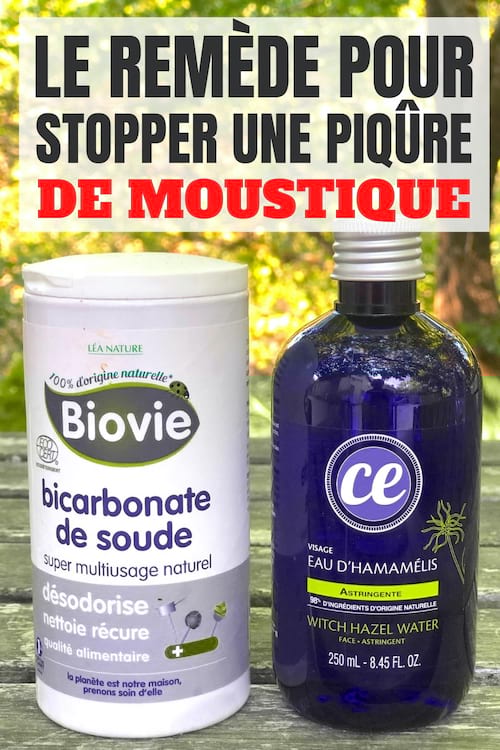 du bicarbonate et de l'eau d'hamamélis pour soulager une piqûre d'insecte