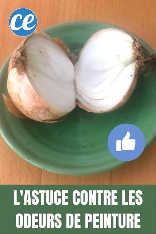 Un oignon coupé pour éliminer les odeurs de peinture dans une pièce